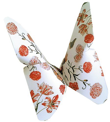 Art Origami 15x15 cm, Butterfly