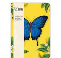 Notebook A5 Ruled Butterfly