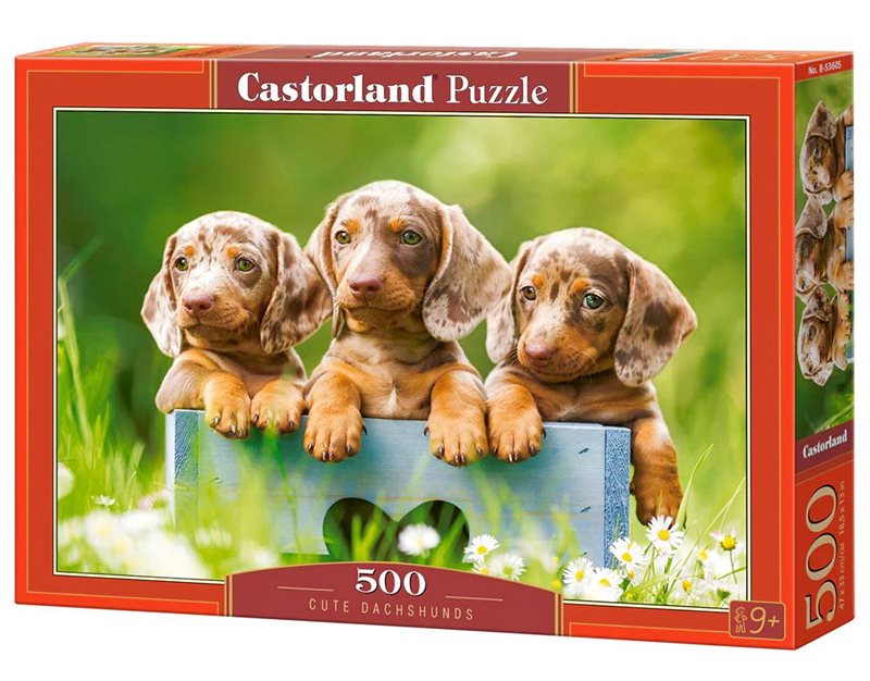 Pussel 500 bitar Cute Dachshunds