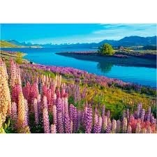 Pussel 500 bitar Lake tekapo, New Zealand