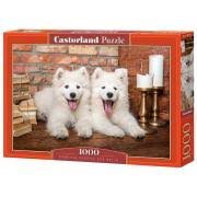 Pussel 1000 bitar Samoyed Puppies Say Hello