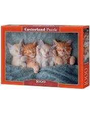 Pussel 1000 bitar The Sweetest Kittens