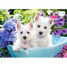 Pussel 200 bitar Westi Puppies