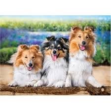 Pussel 200 bitar Shelties in the Lavender Garden