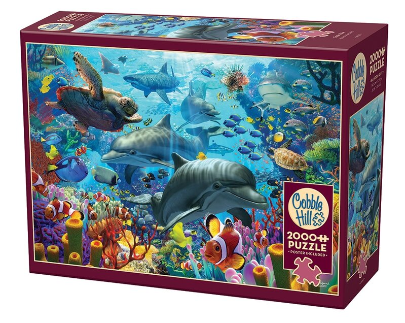 Coral Sea (2000 b) Cobble & Hill