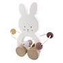 Rulldjur Bunny med kulram