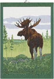 Kökshandduk 35 x 50 cm Moose