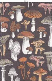 Kökshandduk 40 x 60 Svamprik