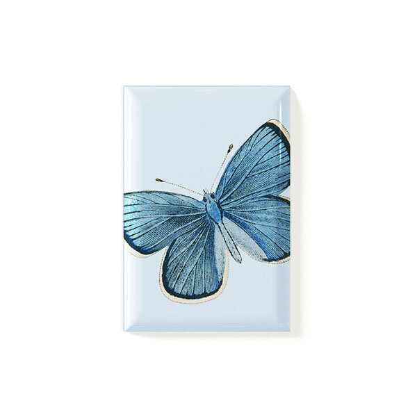 Magnet Fjäril Blå 53x78mm