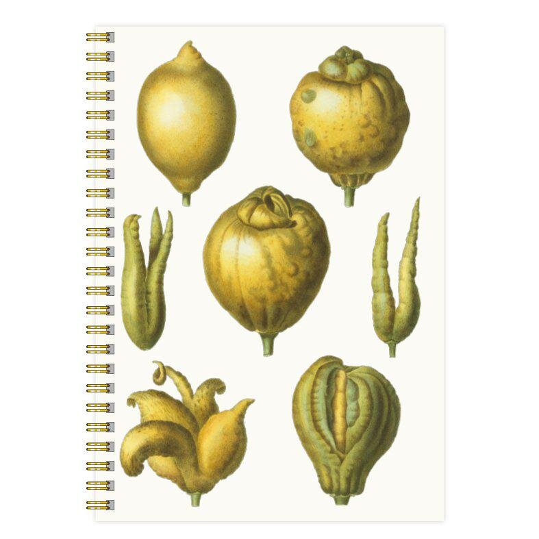 Anteckningsbok A5 Citron Limonium