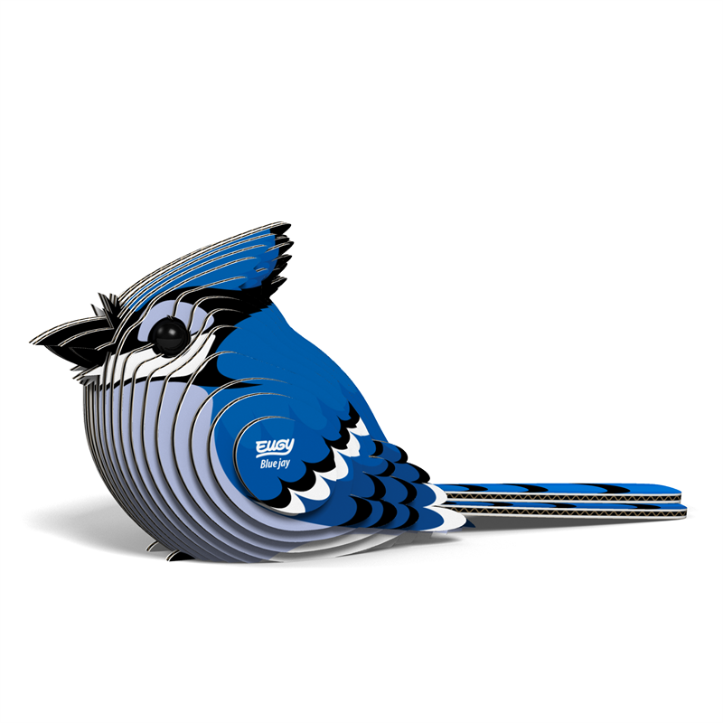 3D Cardboard Model Kit - Blue Jay