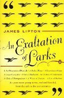 An Exaltation of Larks