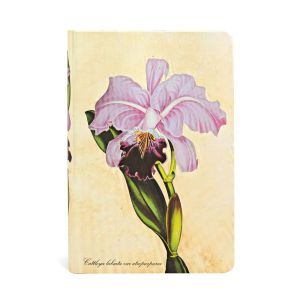 Notebook Mini Blank "Brazilian Orchid"