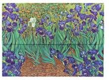 Document Folder - Van Goghs Irises