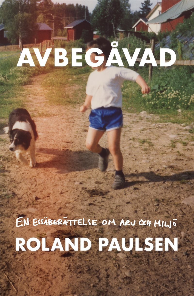 Avbegåvad : en essäberättelse om arv och miljö