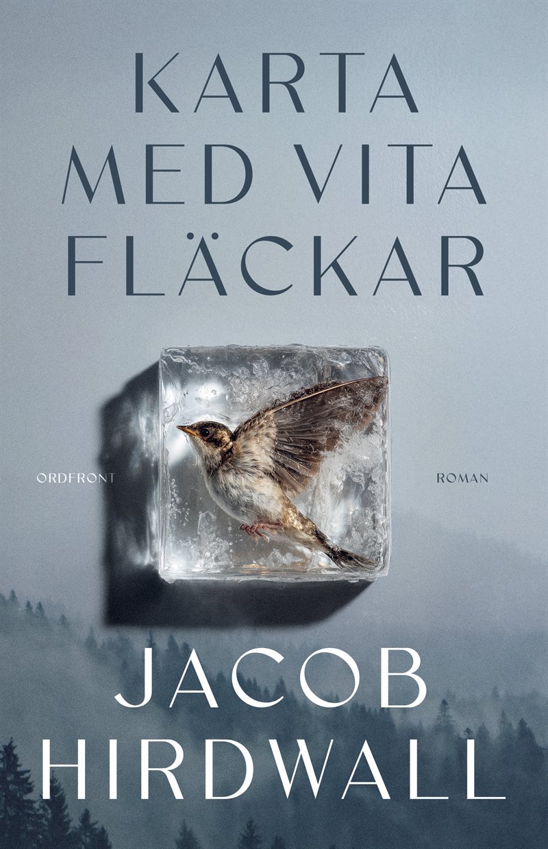 Karta med vita fläckar