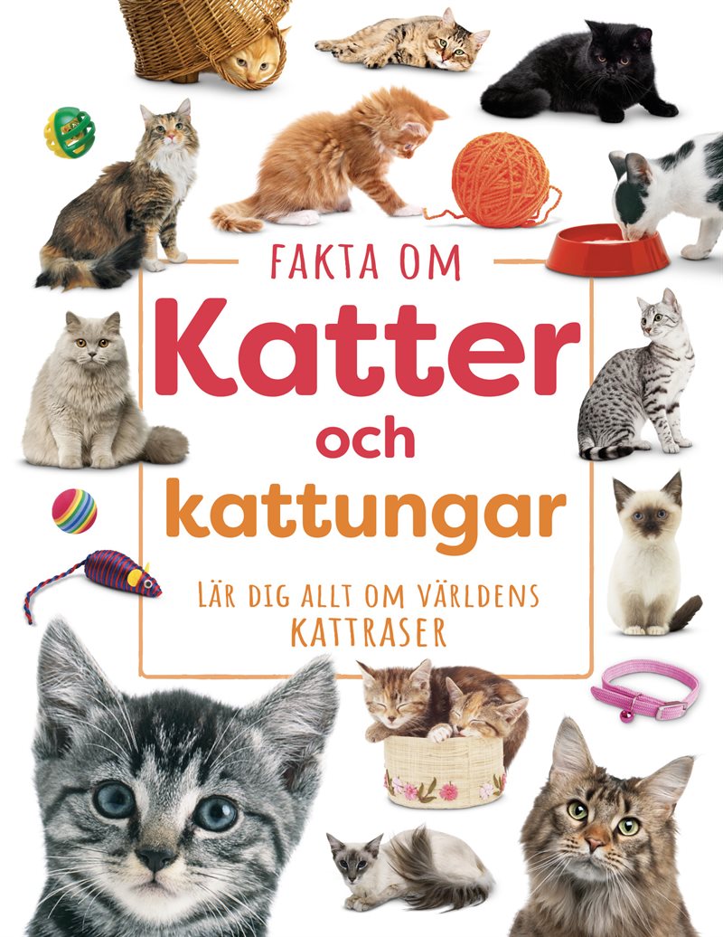 Fakta om katter och kattungar : lär dig allt om världens kattraser