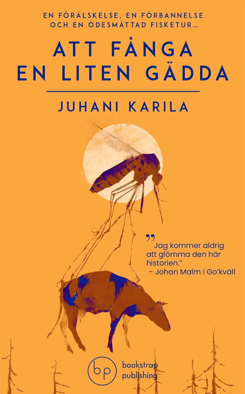 Att fånga en liten gädda