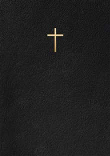 Bibel 2000 : Svart Konstskinn