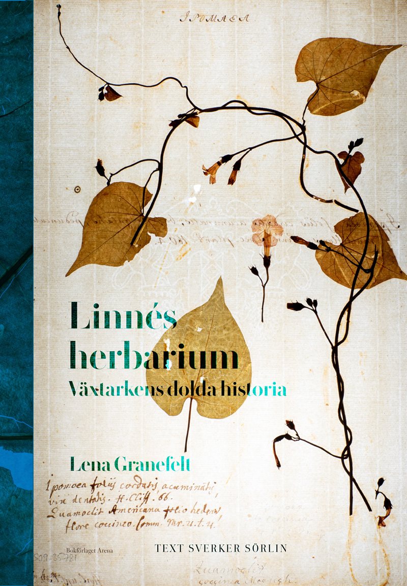 Linnés herbarium : växtarkens dolda historia