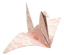 Funny Origami 15x15 cm, Tranor
