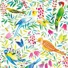  Kortset 8 dubbla kort "Bird Textile Design" by Sarah Cambell 