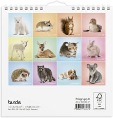 Väggkalender 2027 Sötnosar