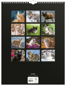 Väggkalender 2027 Stora Kattkalendern