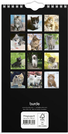 Väggkalender 2027 Liten Kattkalender