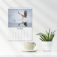 Väggkalender 2027 Fåglar