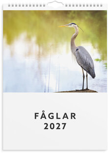 Väggkalender 2027 Fåglar
