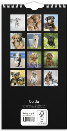 Väggkalender 2027 Liten Hundkalender