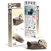 3D Cardboard Model Kit - Sea Otter