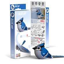 3D Cardboard Model Kit - Blue Jay