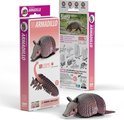 3D Carboard Model Kit - Armadillo