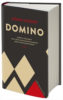 Domino : Dåren, domaren och den välkammade mannen från pirayaministeriet