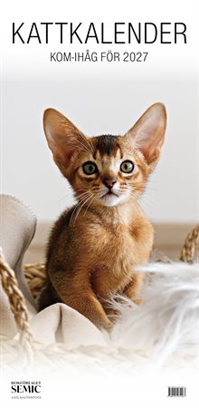 Kattkalender 2027